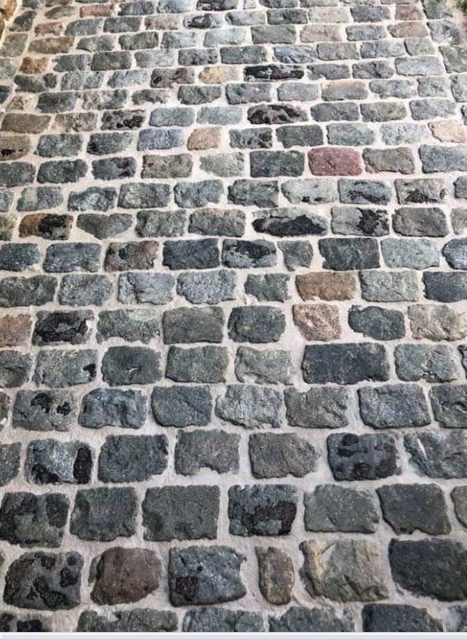 kasseien herinvoegen
nieuwe look
onkruid vrij 